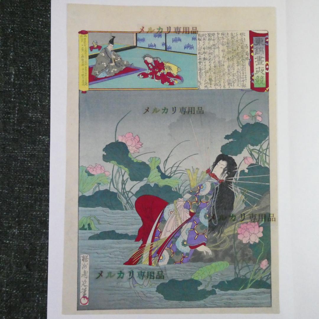 楊洲周延 東錦昼夜競　白菊姫