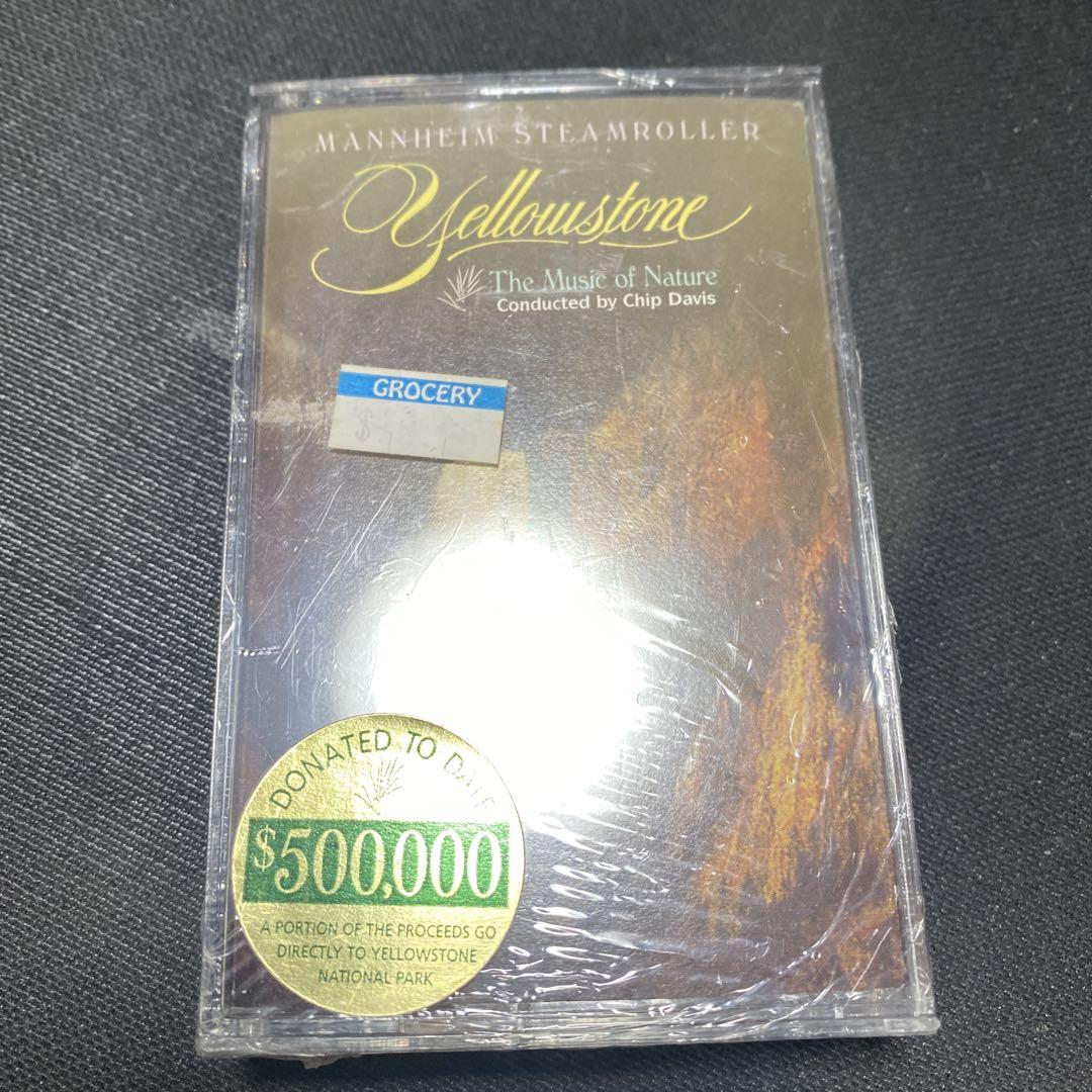 【新品】チップ・デイビス　カセットテープ　洋楽 デッドストック　レア