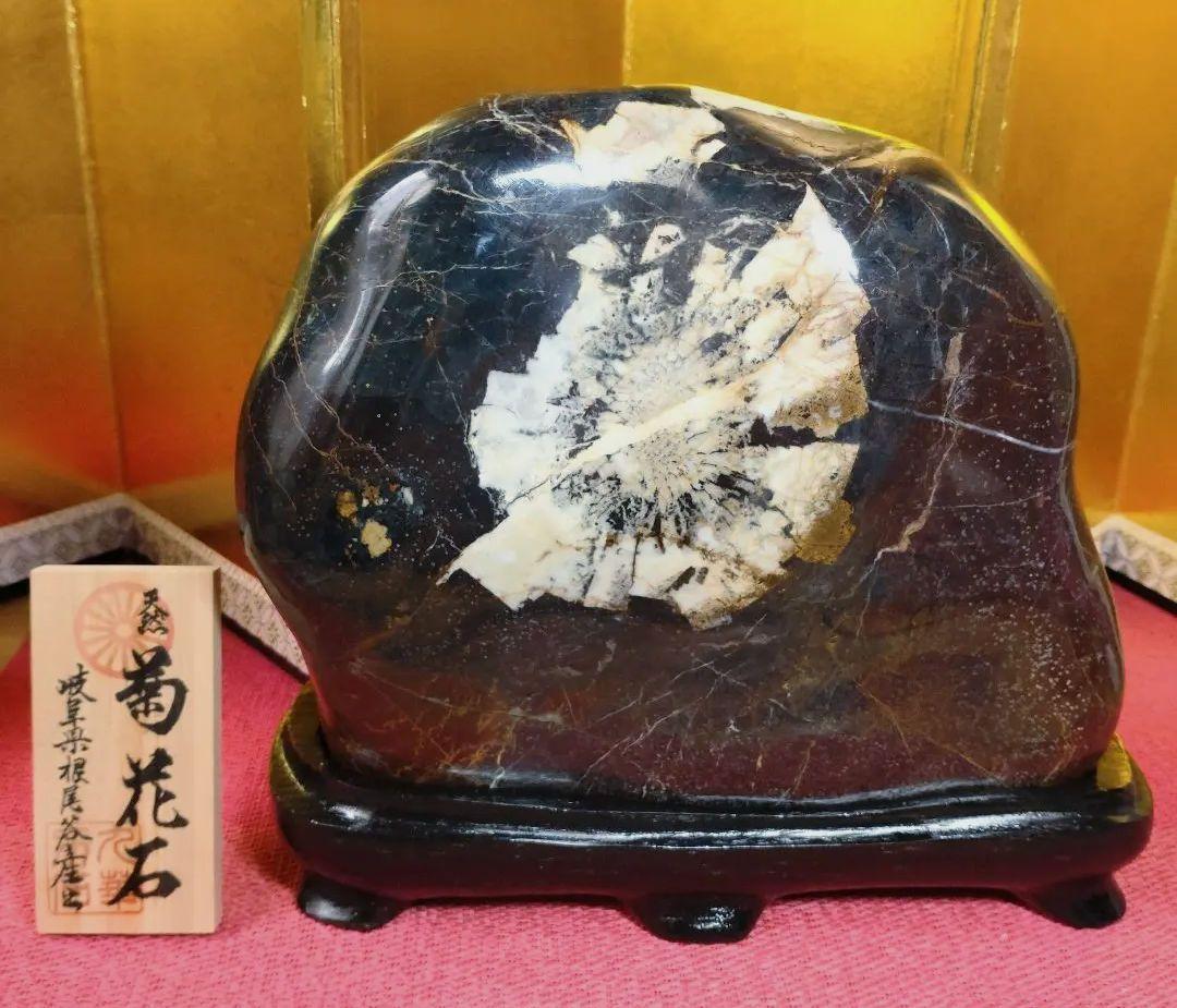 菊花石 岐阜県根尾谷産7.7㌔ 鑑賞石 観賞石 水石 盆石