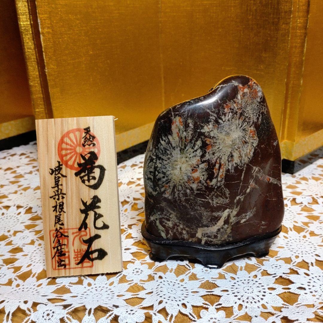 菊花石 岐阜県根尾谷産600㌘ 鑑賞石 観賞石 水石 盆石 天然石