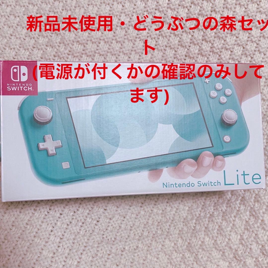 任天堂 Switch NINTENDO SWITCH LITE ターコイズ