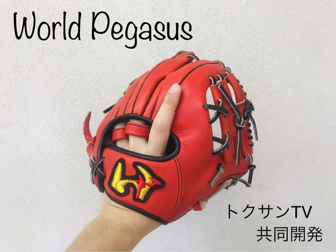 ワールドペガサス　トレーニンググラブ