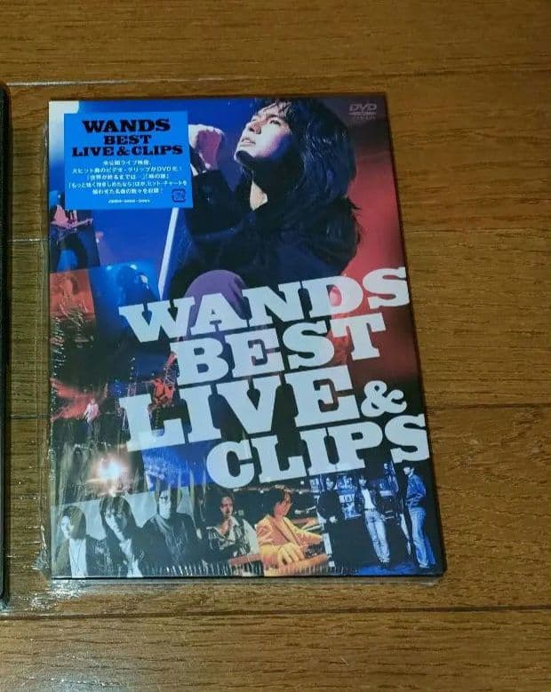 WANDS BEST LIVE ＆ CLIPS /VIDEO HISTORY